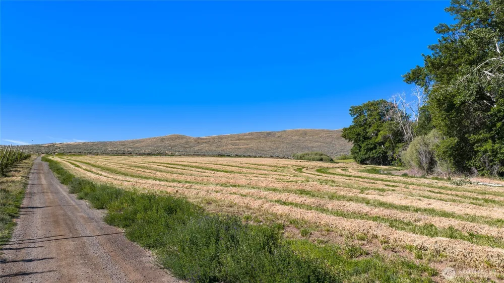 1 Borland Ellensburg, WA 98926