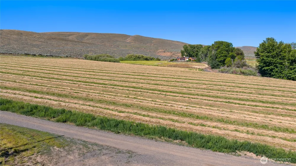 1 Borland Ellensburg, WA 98926