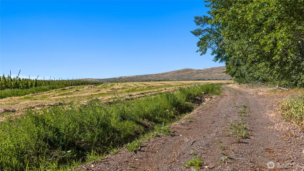1 Borland Ellensburg, WA 98926