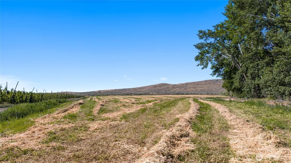 1 Borland Ellensburg, WA 98926
