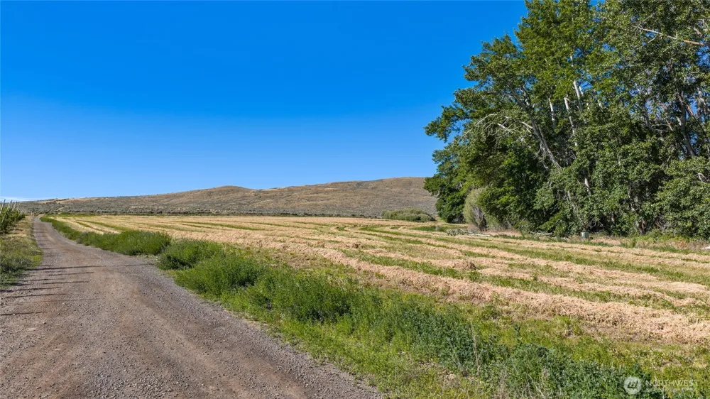 1 Borland Ellensburg, WA 98926