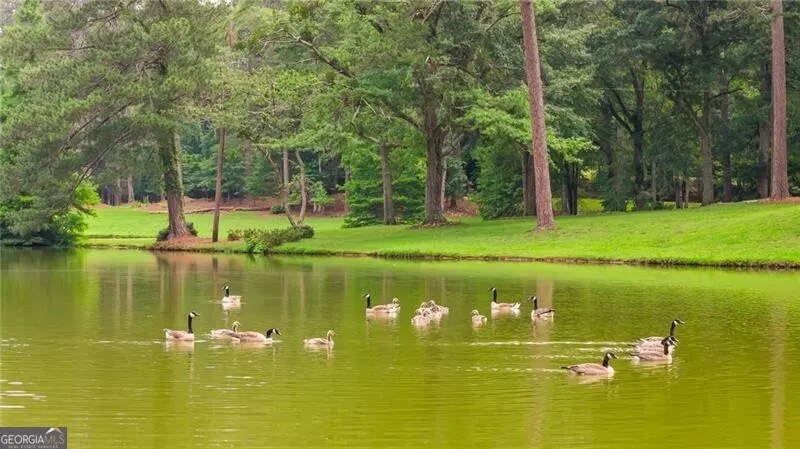 0 Capps Ferry RD Chattahoochee Hills, GA 30268