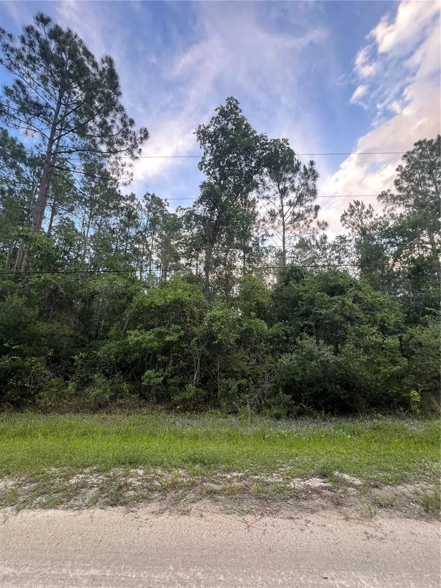 1411 ELDER STREET Bunnell, FL 32110