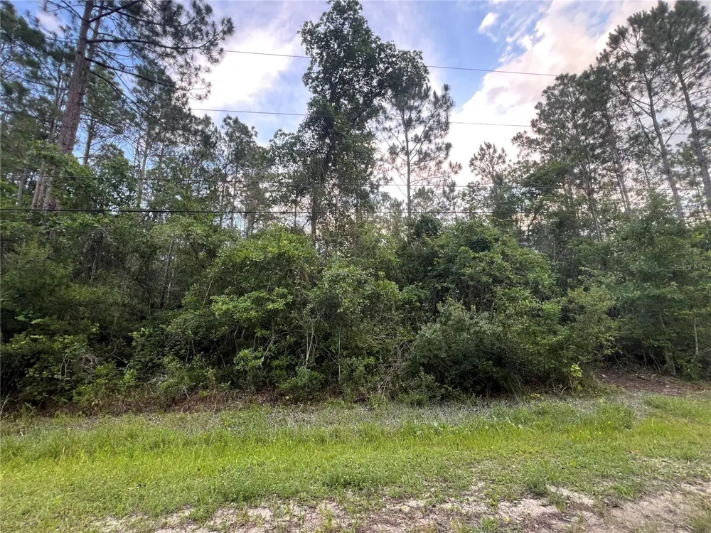 1411 ELDER STREET Bunnell, FL 32110