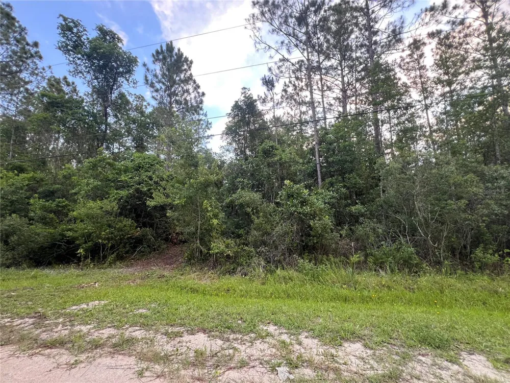 1411 ELDER STREET Bunnell, FL 32110