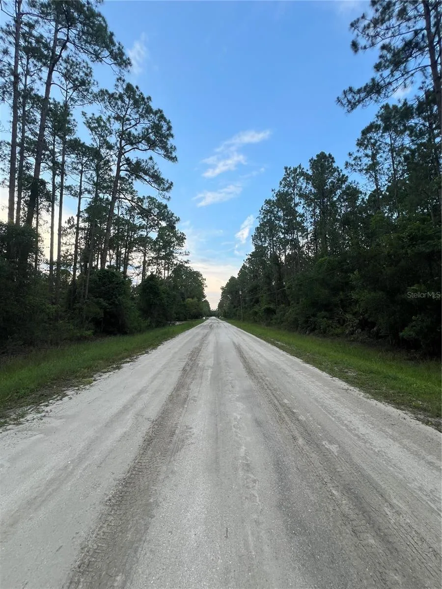 1411 ELDER STREET Bunnell, FL 32110