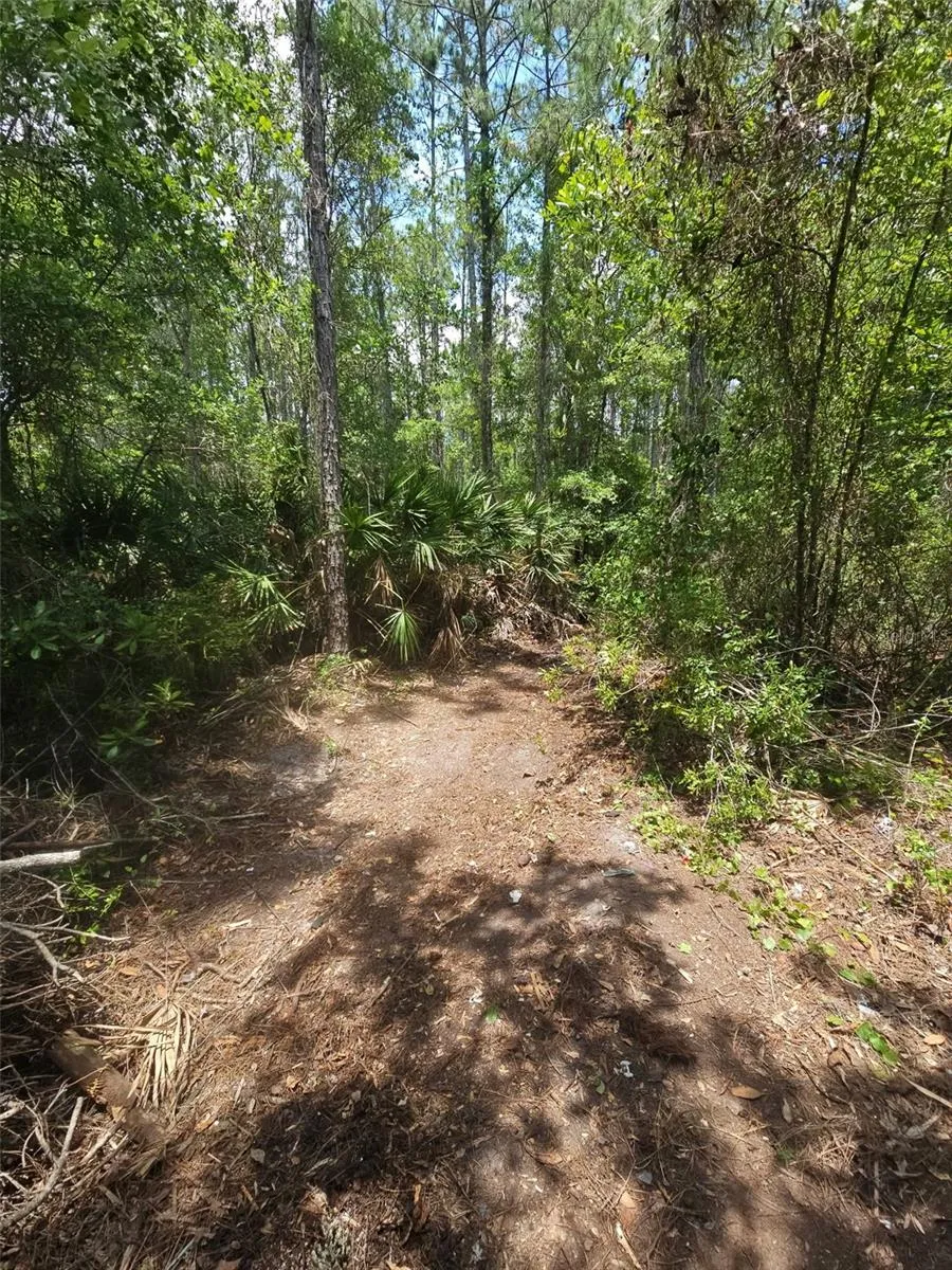 1411 ELDER STREET Bunnell, FL 32110