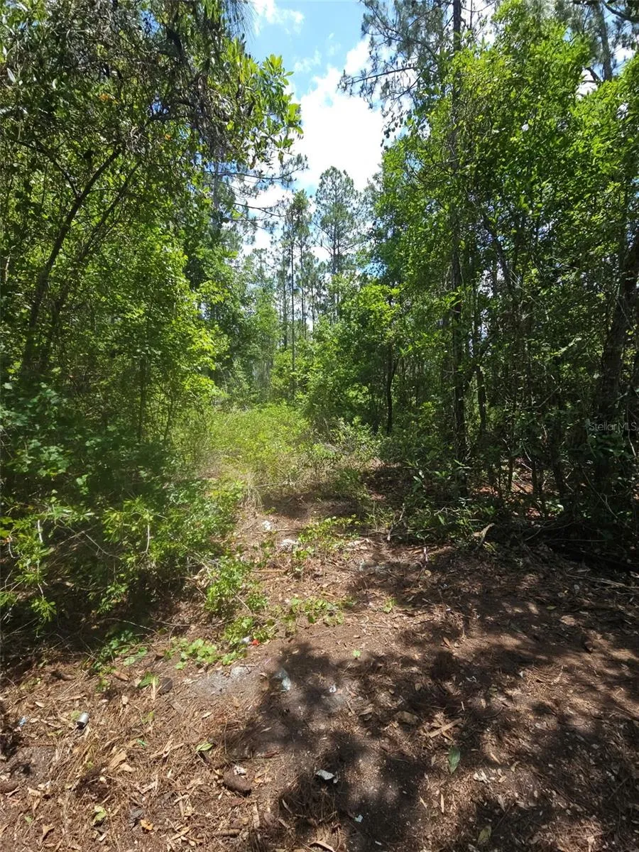 1411 ELDER STREET Bunnell, FL 32110