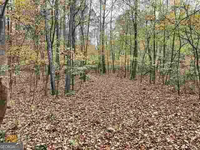 4630 Cleveland RD Stonecrest, GA 30038