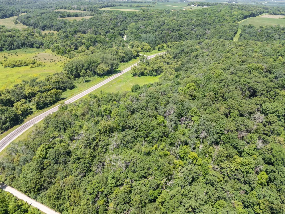 56160 County Road 21 Mazeppa, MN 55956