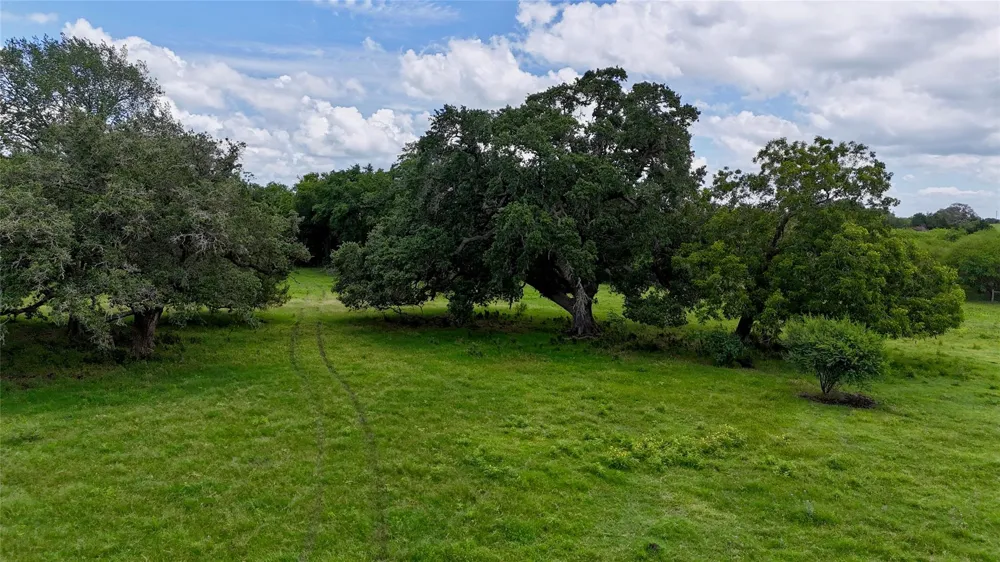 7755 Fm 1295 Moulton, TX 77975