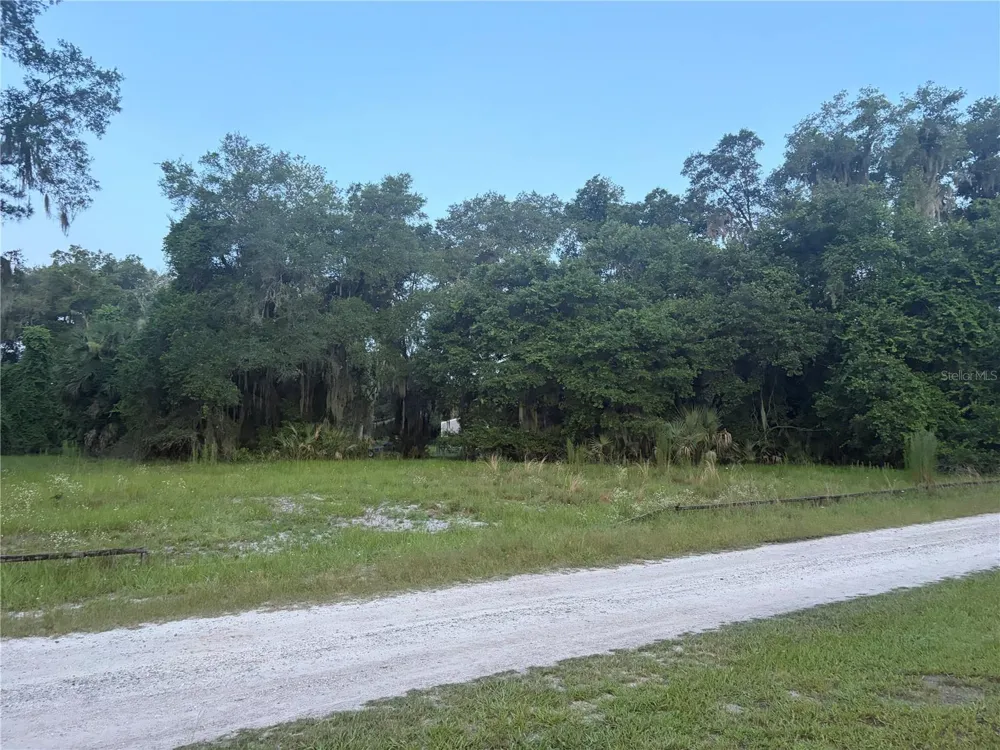 161 LITTLE ORANGE LAKE DRIVE Hawthorne, FL 32640