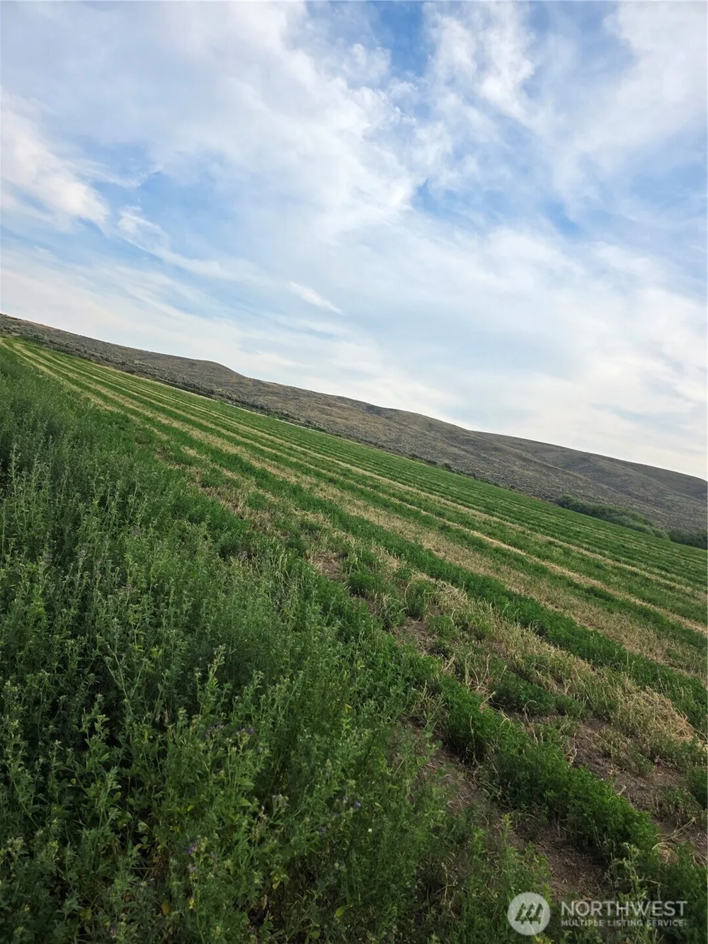 2 Borland Ellensburg, WA 98926