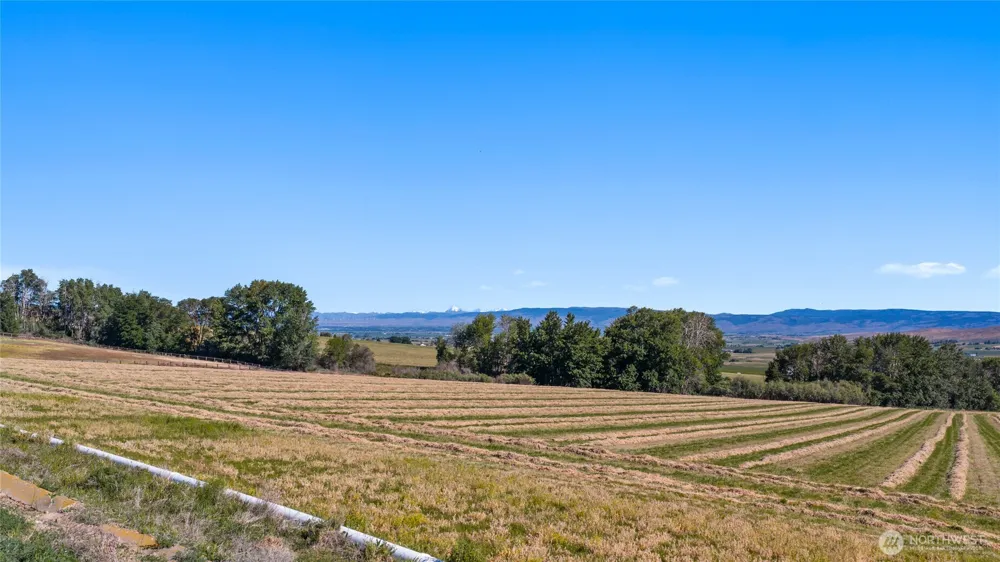 2 Borland Ellensburg, WA 98926