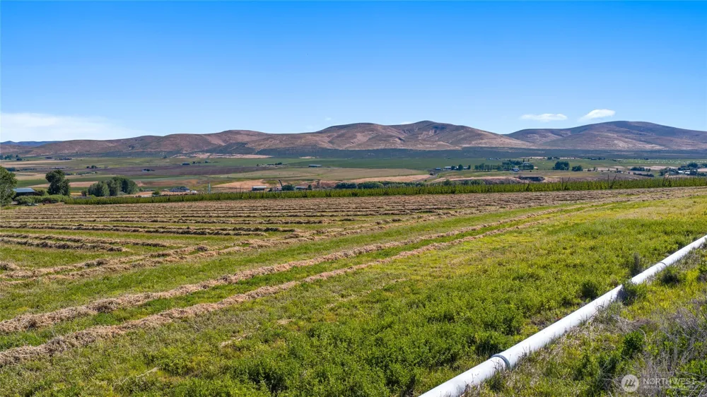 2 Borland Ellensburg, WA 98926