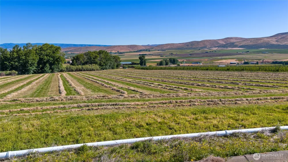 2 Borland Ellensburg, WA 98926