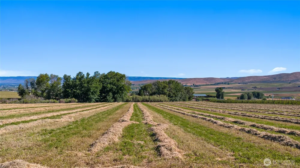 2 Borland Ellensburg, WA 98926