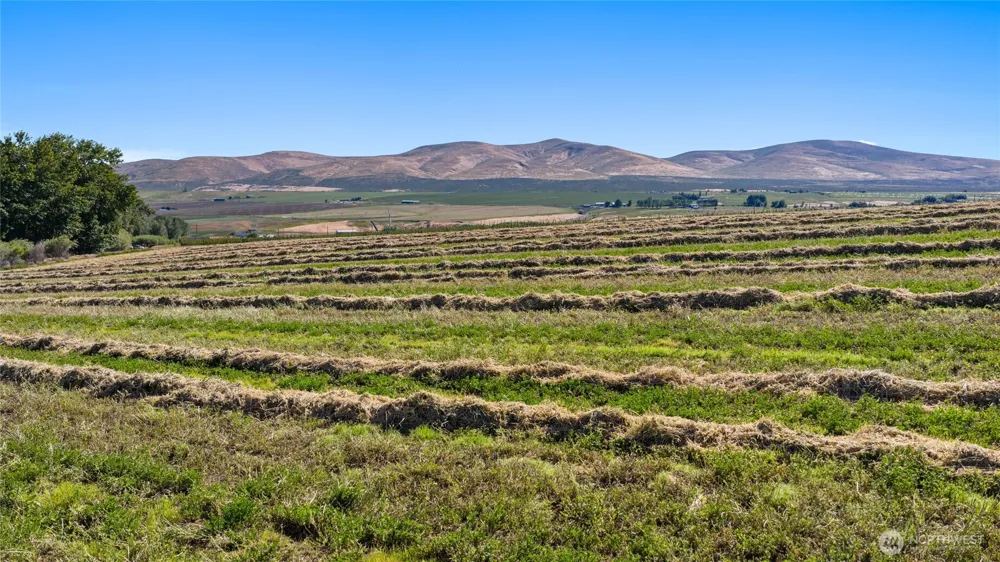 2 Borland Ellensburg, WA 98926