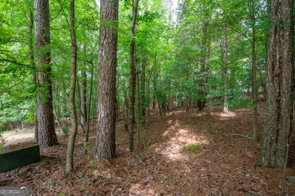 337 Fields Ferry DR NE Calhoun, GA 30701