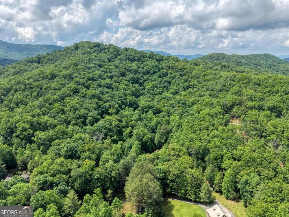 1564 Black Ankle Creek RD Cherry Log, GA 30522