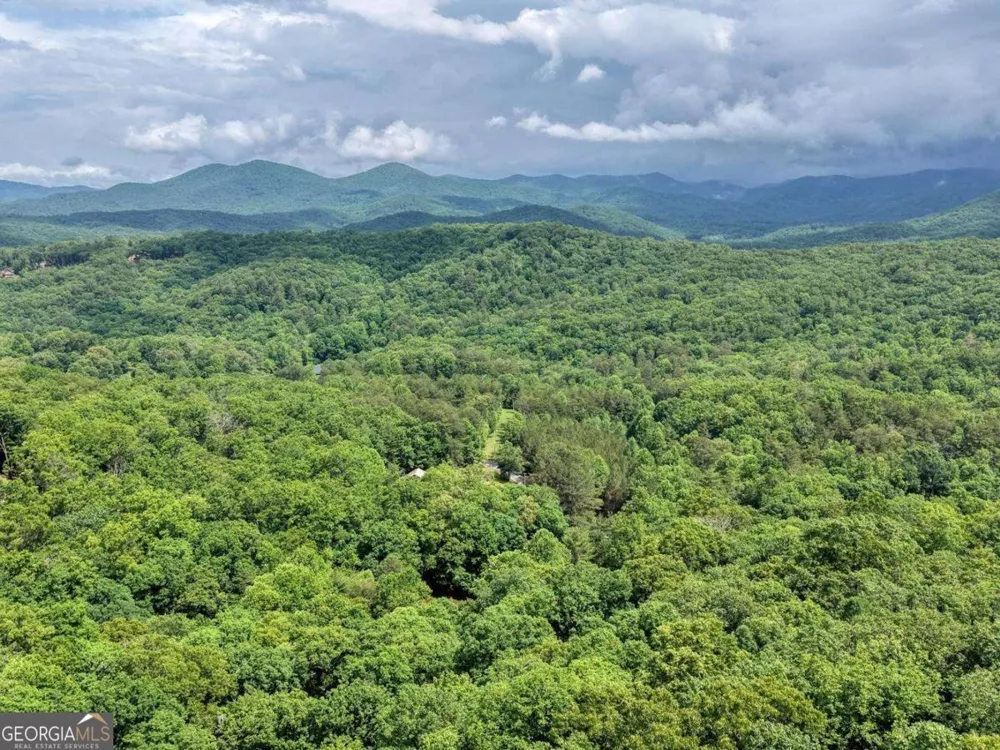 1564 Black Ankle Creek RD Cherry Log, GA 30522