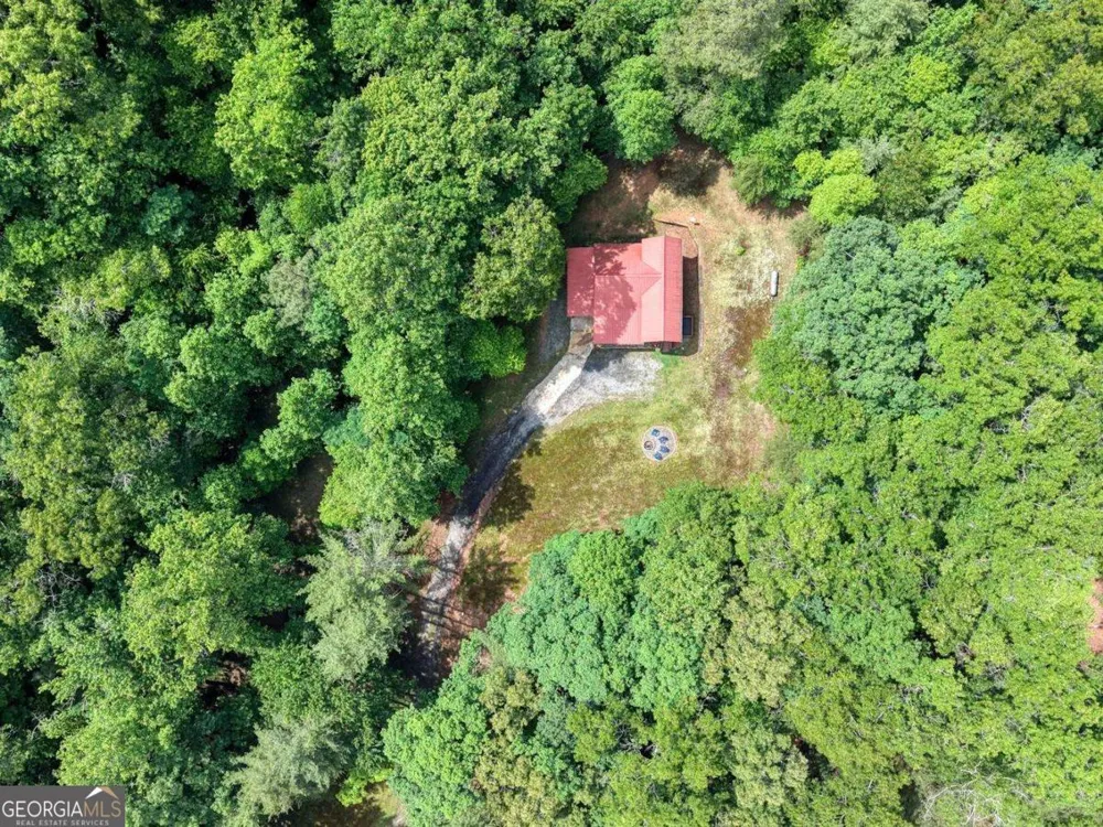 1564 Black Ankle Creek RD Cherry Log, GA 30522