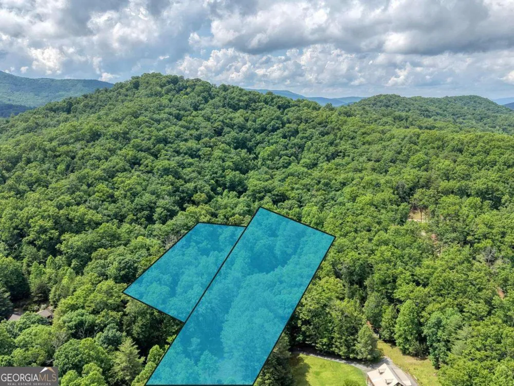1564 Black Ankle Creek RD Cherry Log, GA 30522