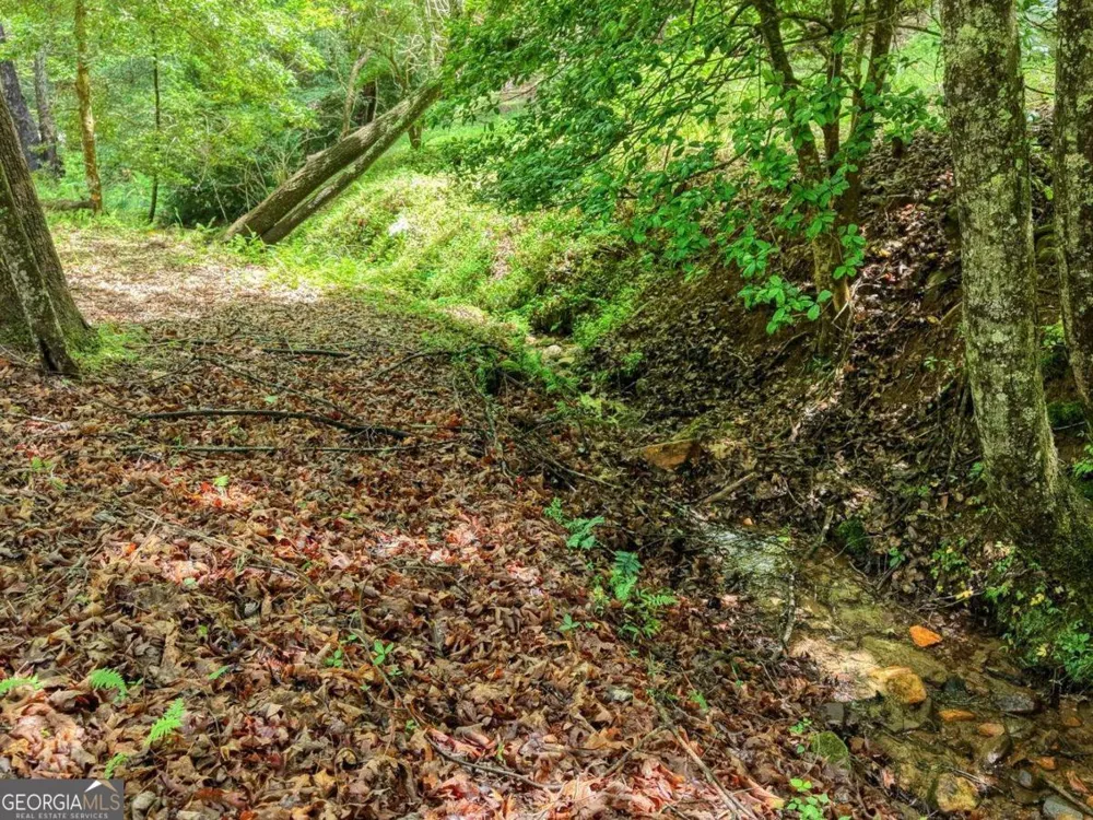 1564 Black Ankle Creek RD Cherry Log, GA 30522