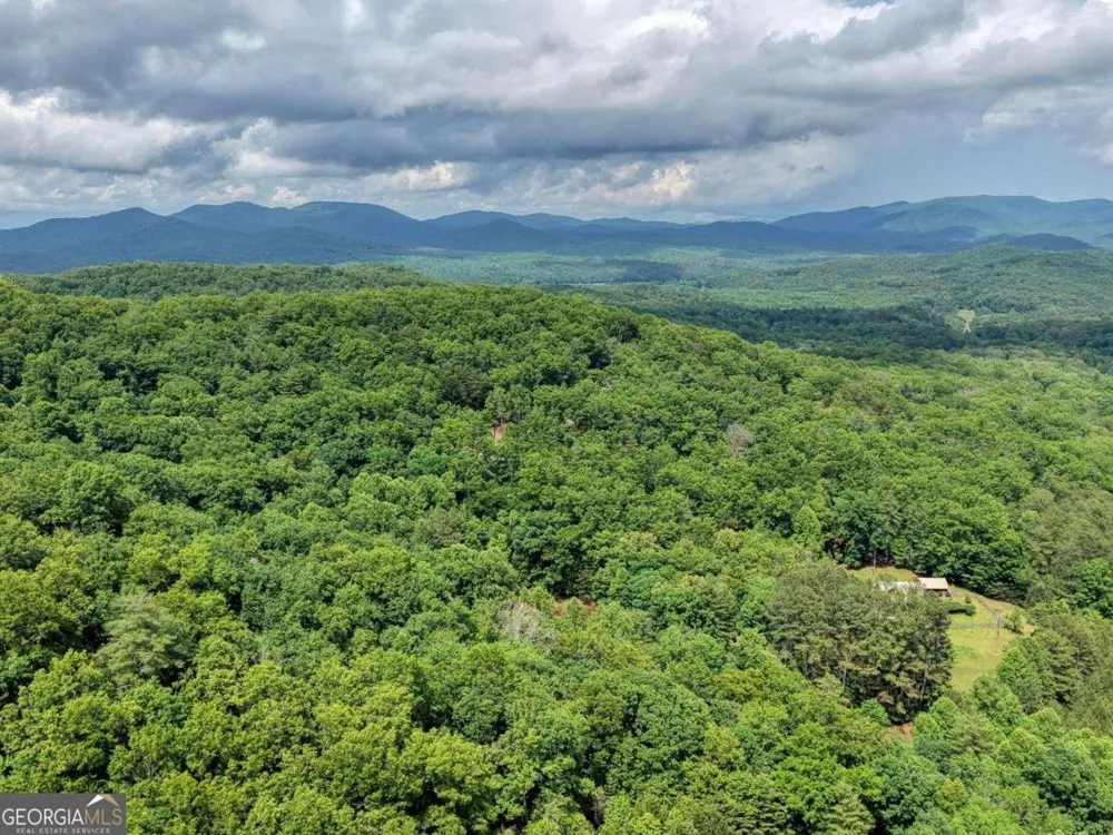 1564 Black Ankle Creek RD Cherry Log, GA 30522