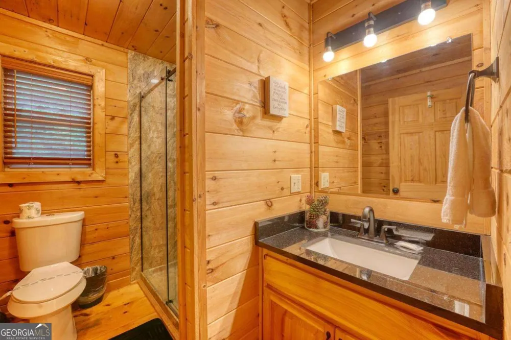 1564 Black Ankle Creek RD Cherry Log, GA 30522