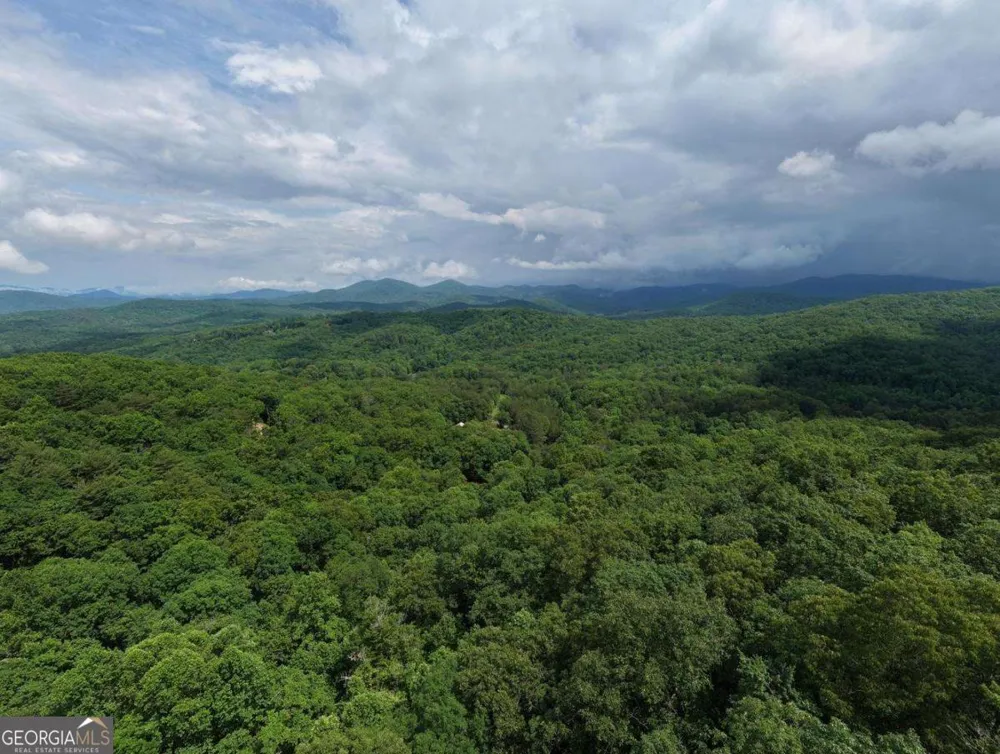 1564 Black Ankle Creek RD Cherry Log, GA 30522