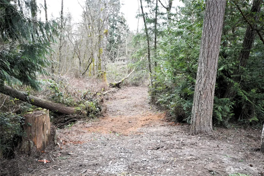 0 SE Cleveland Avenue Port Orchard, WA 98366