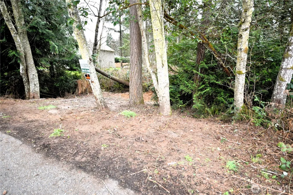 0 SE Cleveland Avenue Port Orchard, WA 98366