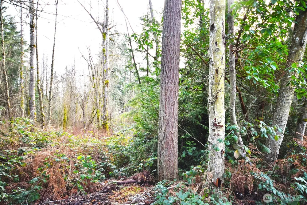 0 SE Cleveland Avenue Port Orchard, WA 98366