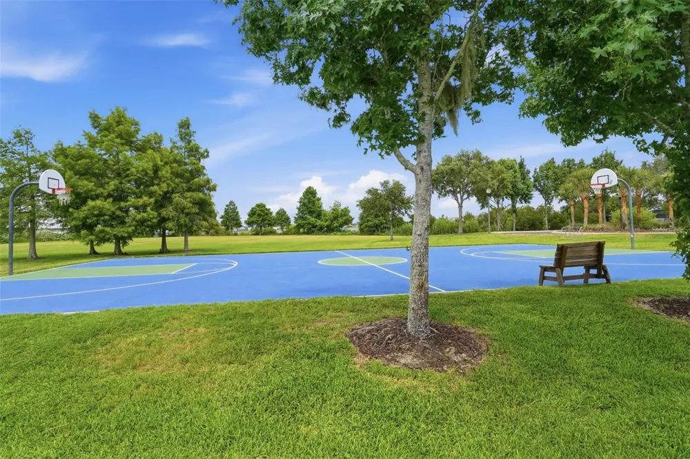 556 JUNIPER SPRINGS DRIVE Groveland, FL 34736