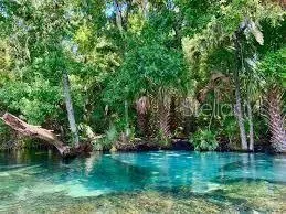 547 W HOMEWAY LOOP Dunnellon, FL 34434