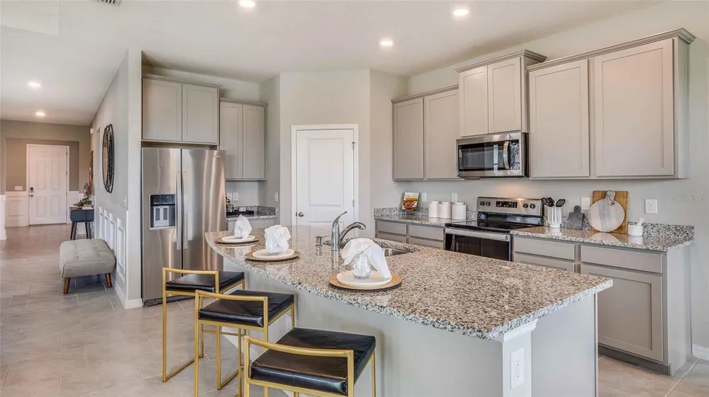 32668 DULUTH DRIVE Wesley Chapel, FL 33543