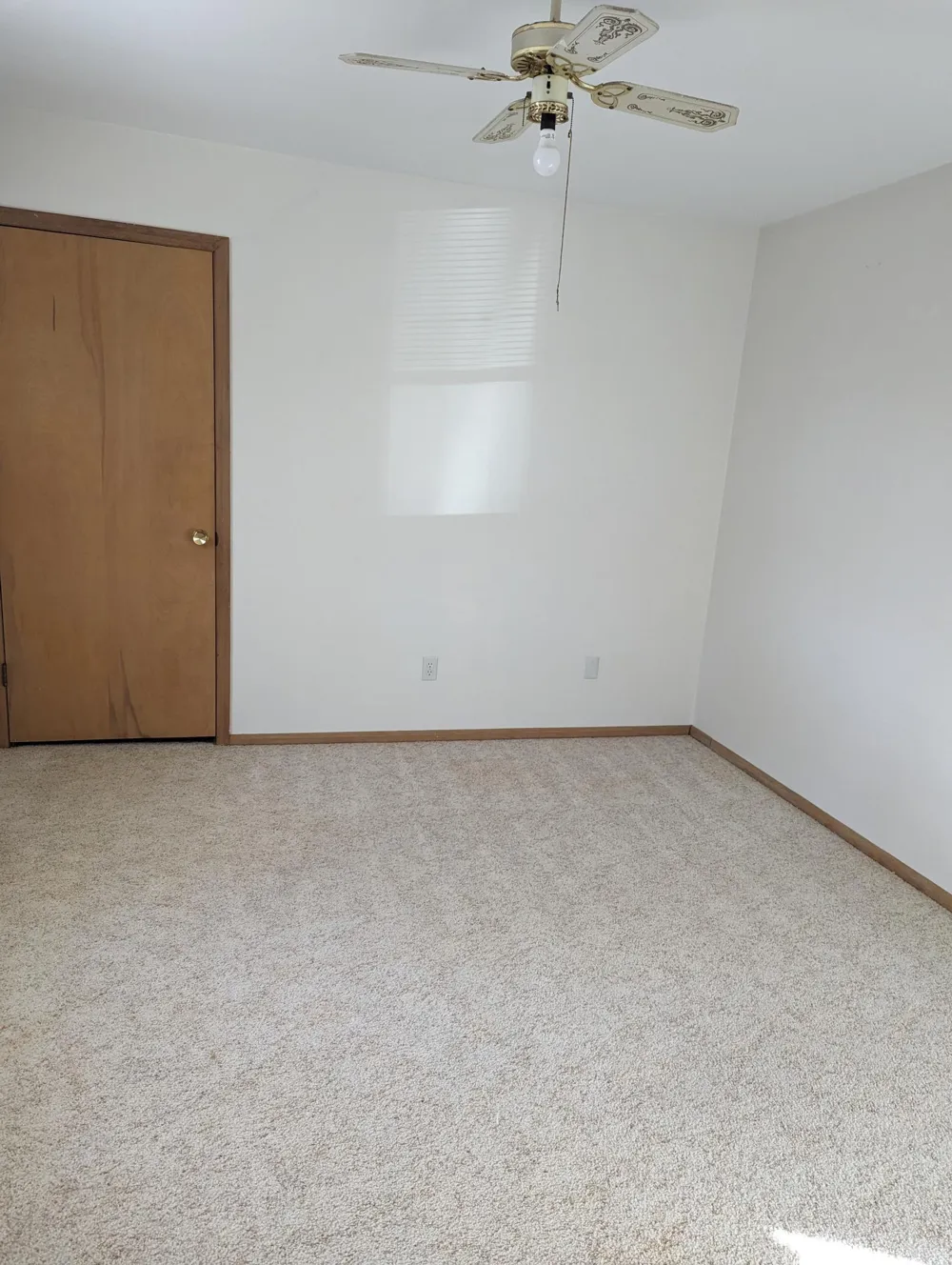 376 4th Street E #10 Halstad, MN 56548