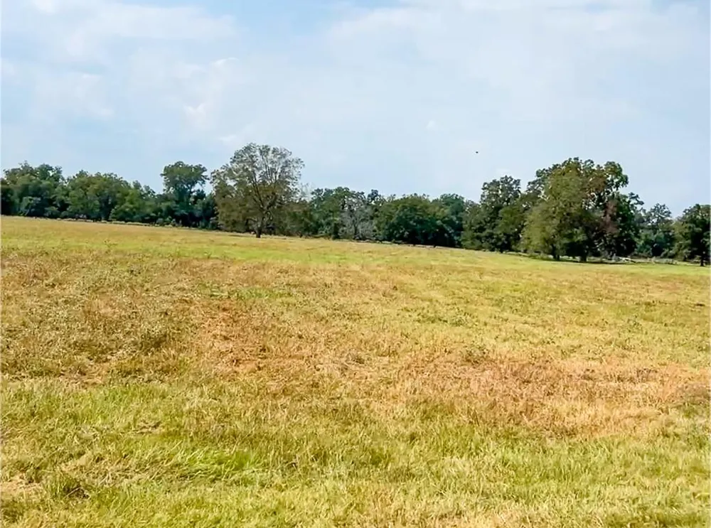 327 Fm 2548 Midway, TX 75852