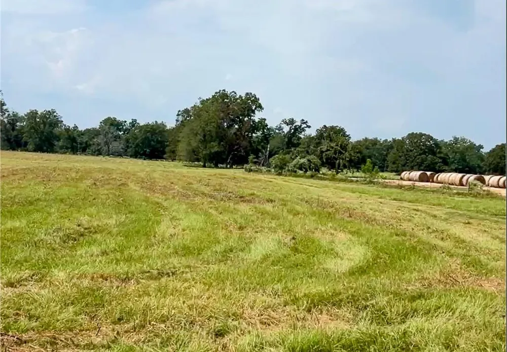 327 Fm 2548 Midway, TX 75852