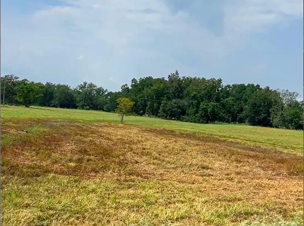327 Fm 2548 Midway, TX 75852