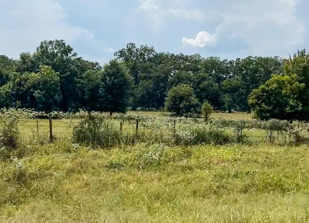 327 Fm 2548 Midway, TX 75852
