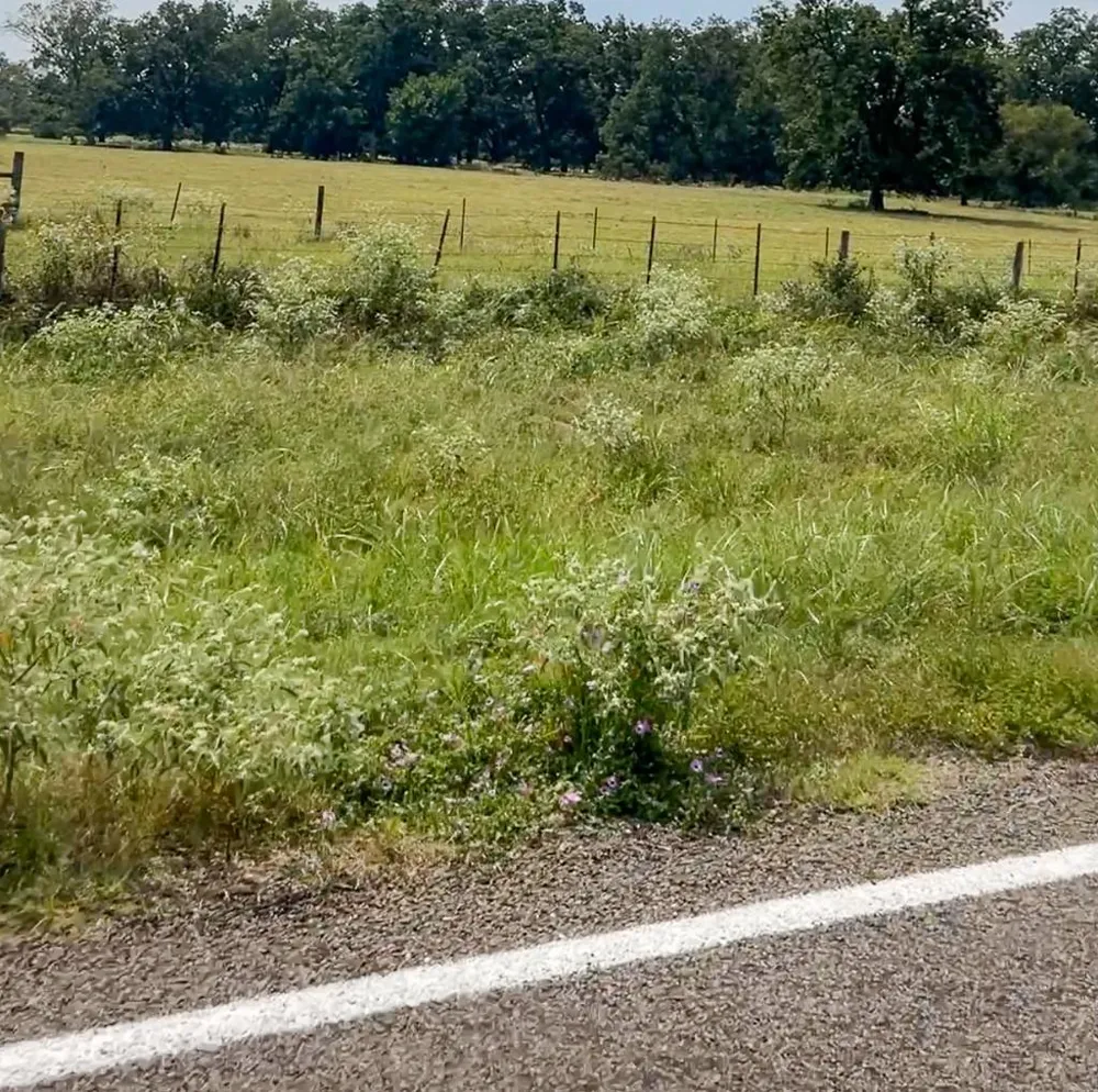 327 Fm 2548 Midway, TX 75852