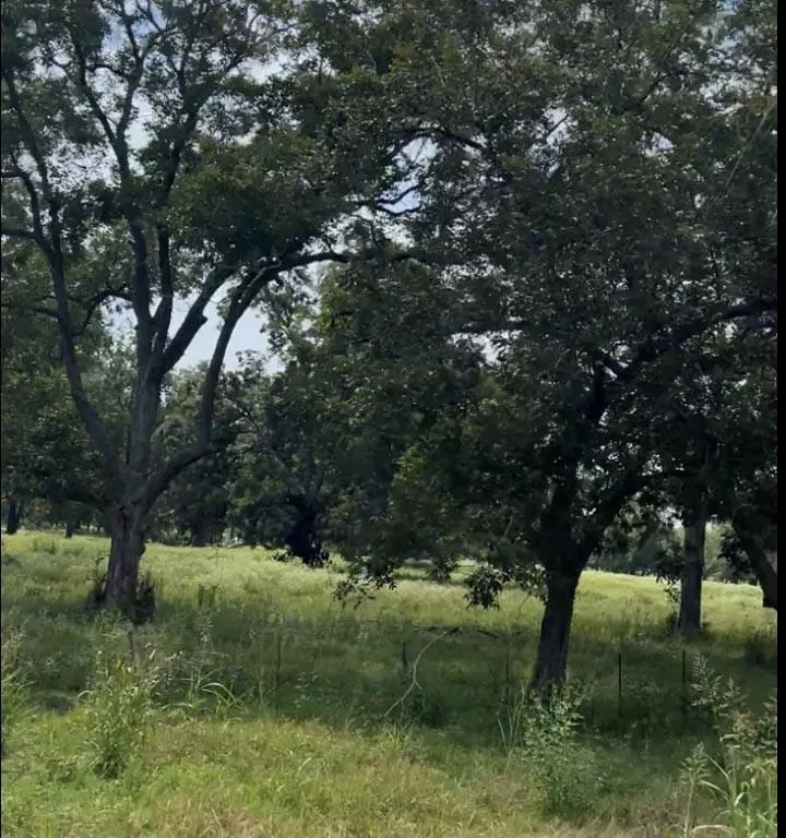 327 Fm 2548 Midway, TX 75852