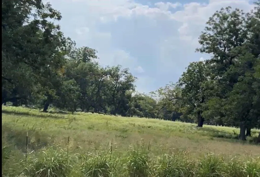 327 Fm 2548 Midway, TX 75852