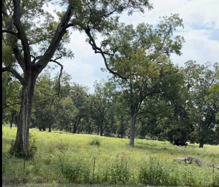 327 Fm 2548 Midway, TX 75852