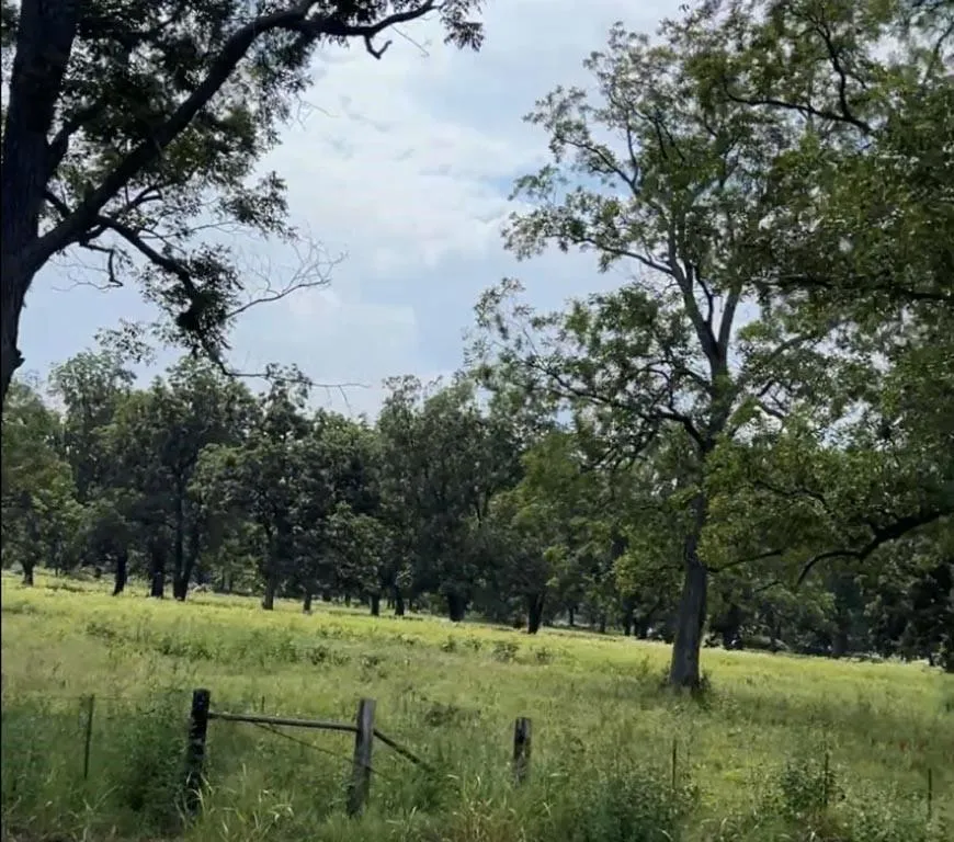 327 Fm 2548 Midway, TX 75852