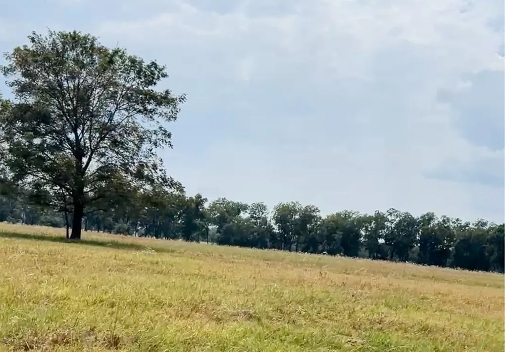 327 Fm 2548 Midway, TX 75852