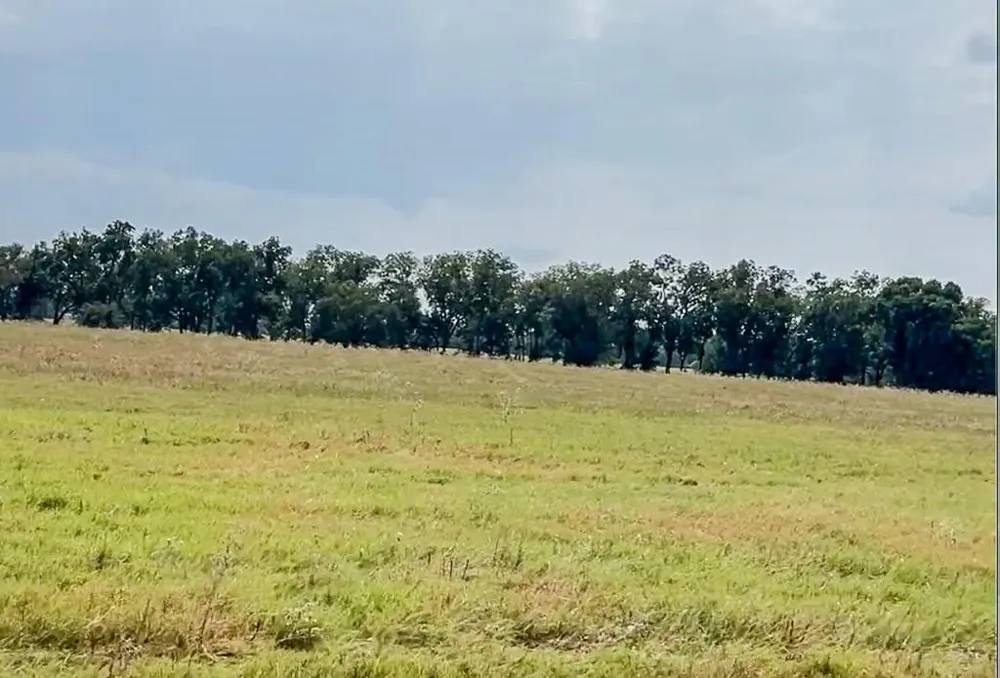 327 Fm 2548 Midway, TX 75852