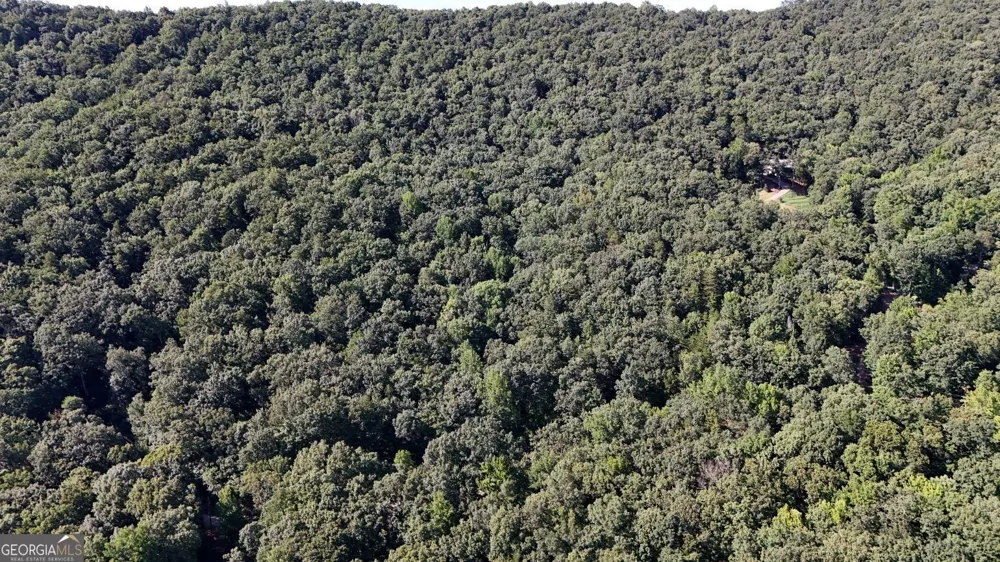 LOT 41 Wauka Ridge RD Murrayville, GA 30564